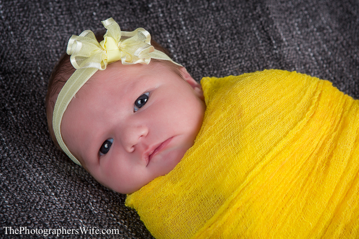 Aubrey newborn-1005