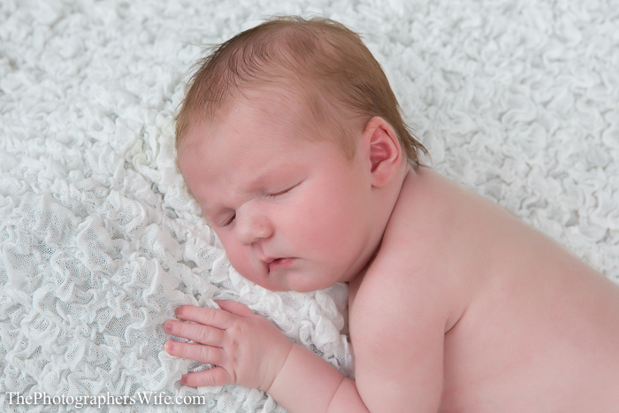 Aubrey newborn-1013