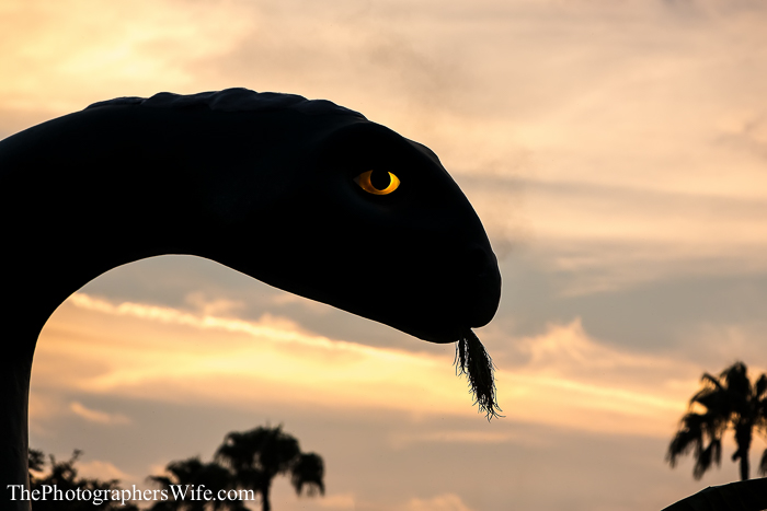 May Disney Day 3-1028
