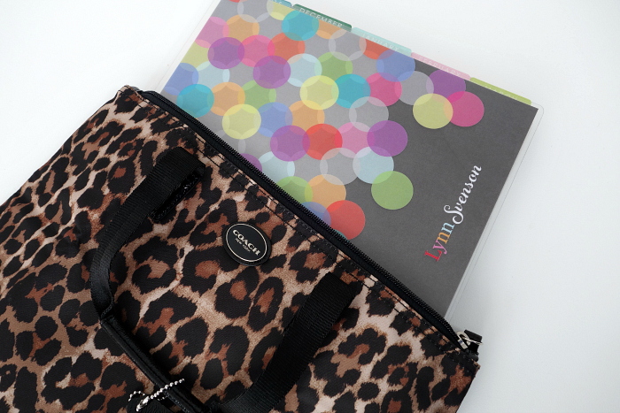 Coach Planner Bag 3