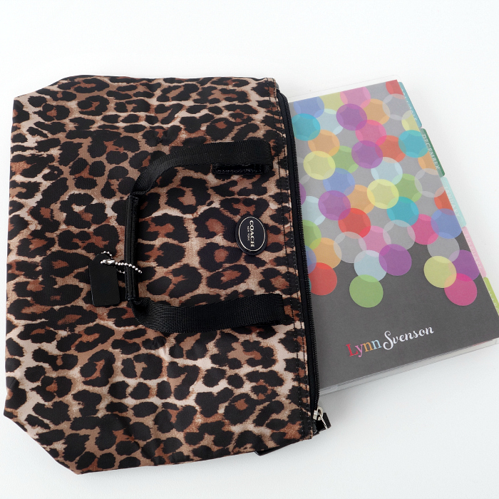 Coach Planner Bag 4