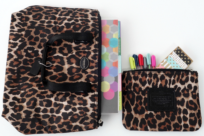 Coach Planner Bag 5