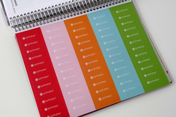 Erin Condren Life Planner 14