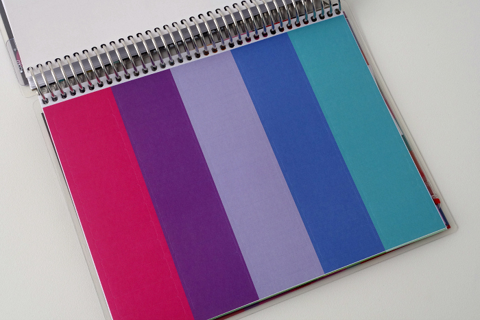 Erin Condren Life Planner 15