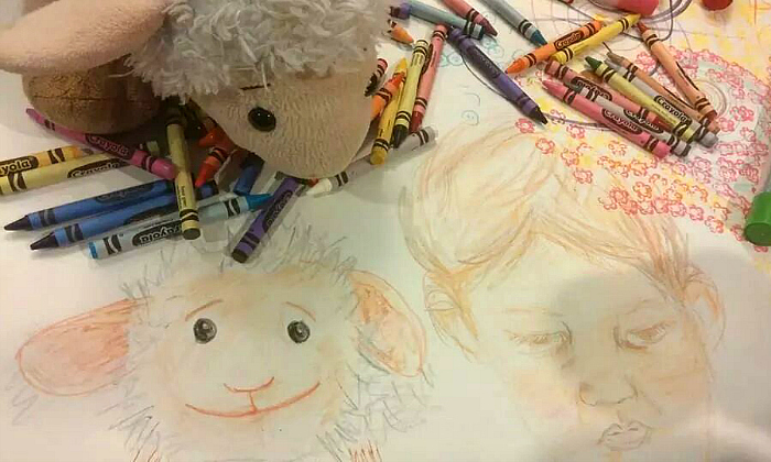 Sheep 2