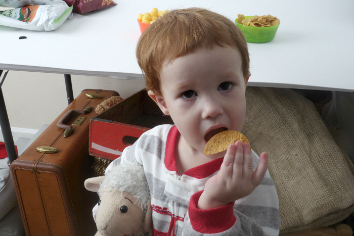 Snikiddy Snacks 8