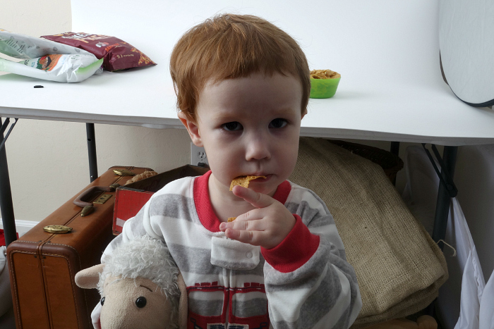 Snikiddy Snacks 9