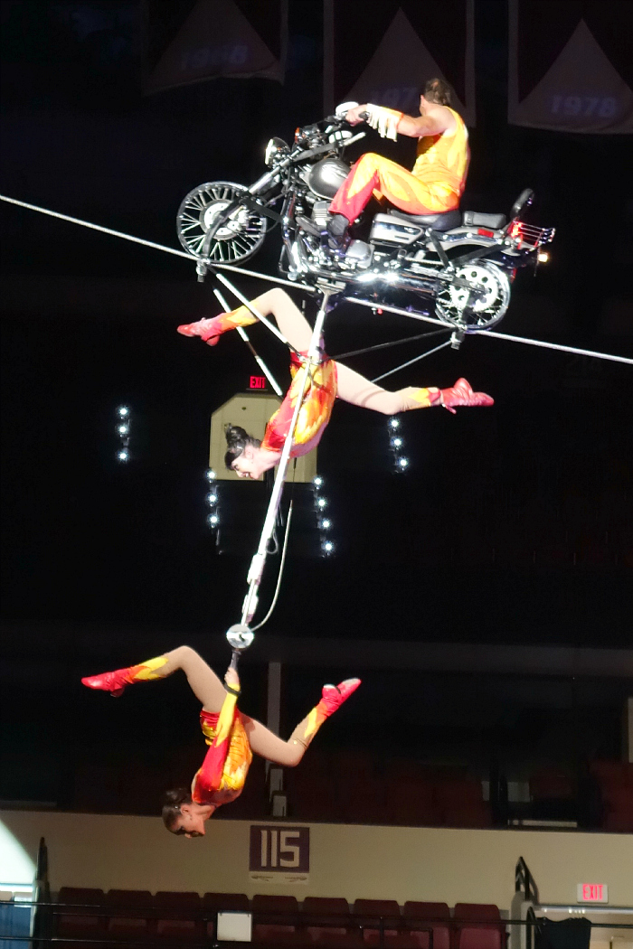 Circus 19