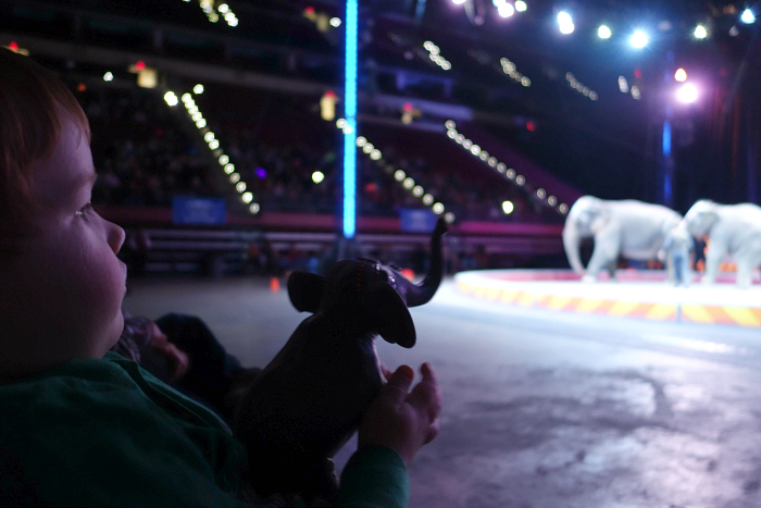 Circus 22