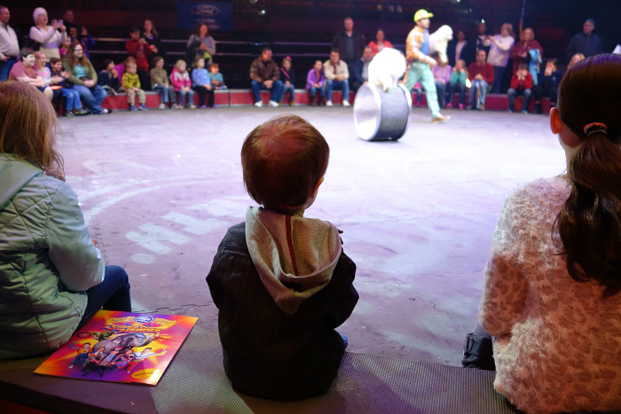 Circus 3