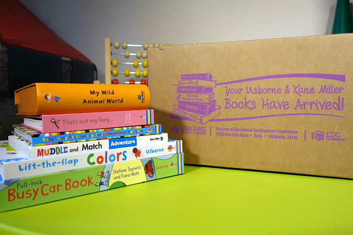Usborne Books Review 1